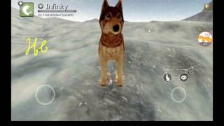 Wolf Online|Infinity∽Point Hack|Root☆