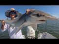 World RECORD Bonnethead Shark! Catch Clean Cook (Sebastian Inlet, Florida)