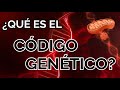 ¿Qué es el código genético? ¿Y el ADN?