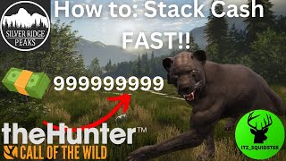 How to Stack CASH FAST 2023!!! | thehunter: call of the wild