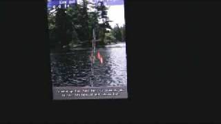 App Review: iFishing screenshot 2