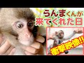 らんまくんが来てくれたあの日・・・ ⚠️衝撃映像あり