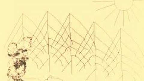 preved medved poka medved