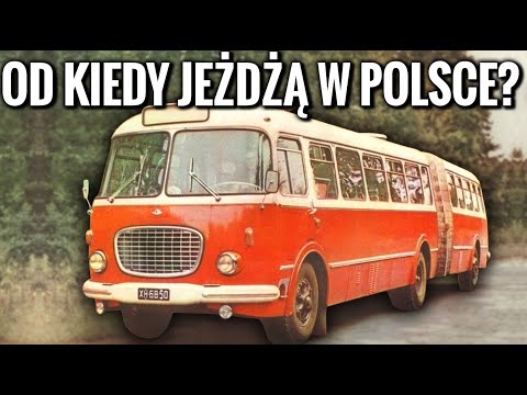 Wideo: Rozstawy i szerokości siedzeń wśród 6 największych amerykańskich przewoźników