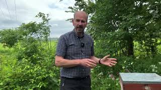 Beekeeping Tip Of The Week No.4 How To Know When It’s Warm Enough To Inspect The Hive