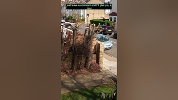 Can You Find the Cat in This Brain-Busting Puzzle? #FindTheCat  #Puzzle