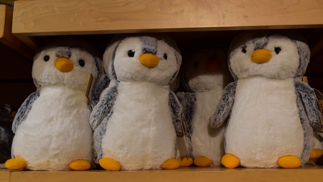 MGMT - Kids + Neverending Story (Board Recording, Live @ Personal Fest 2018 - Argentina) REMASTERED