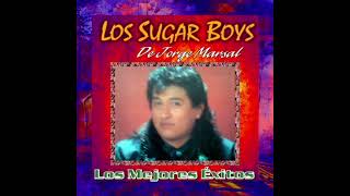 los sugar boys de jorge marsal-motivo y razon