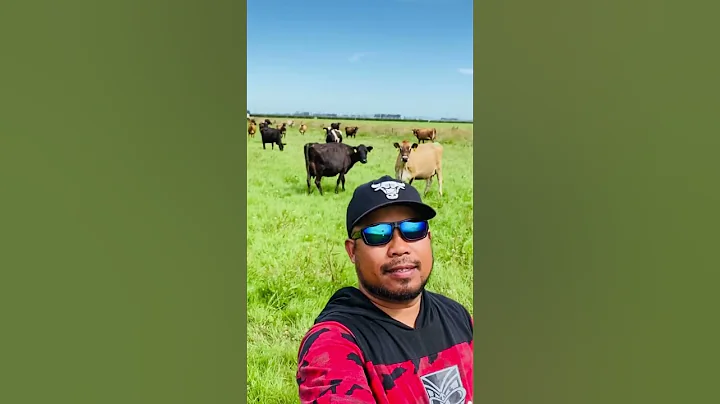 Dairy farmer in New Zealand #viral  #pinoyblogger #dairyfarm #ilokanovlogger #pinoyinnewzealand