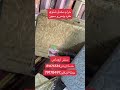 حرام شتوي مجوز مفرد ونص مخمل اكسبلور حرام شتوي مجوز مفرد ونص مخمل اكسبلور