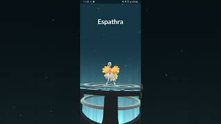 Evolving Flittle
