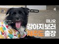베르가 귀여워서 찾아온 손님들 ㅣ킹댕즈 킹베르 인터뷰 #텔레팟 #텔레파시 Mp3 Song