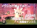 イワシカが踊ってみた。AKB48「根も葉もRumor」（高難度ダンス!!）