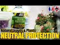 Conserver des plantes naturelles  test du natural leaves  plants neutral protection de chez ak