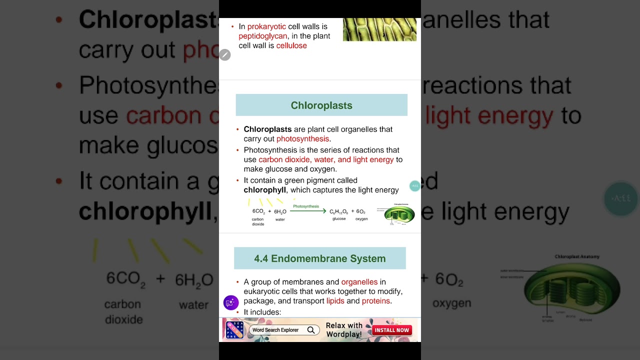 ٢٧ كانون الأول ٢٠٢٥
