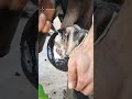#animalwelfare #horse #asmr #farrier