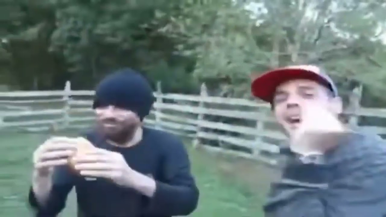 bluezão comendo bosta de vaca com music de (Splashing around) estourado