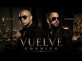 VUELVE CONMIGO | AL ESTILO DE WISIN & YANDEL (IA)