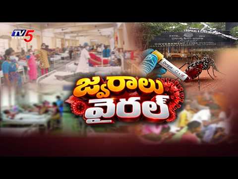 ఫీవర్ హాస్పిటల్స్ కిటకిట...Ground Report On Viarl Fever Cases In Hyderabad | TV5 - TV5NEWS