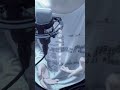 帝国少女 / R Sound Design ( #vocalonly )