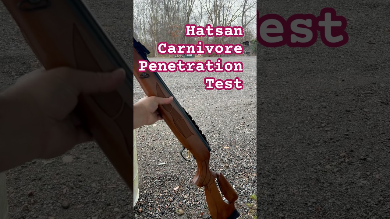 Hatsan Mod 135 Penetration Test