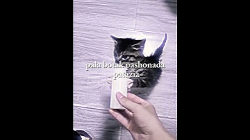 Thumbnail of nama lagu gatau cari sendiri 😭 #fidhanif #edit #cat #fyp #music #song #phonk #wow #fypviralシ #viral