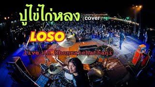 ปูไข่ไก่หลง (cover)- LOSO อุบลราชธานี 21 พ.ย.65