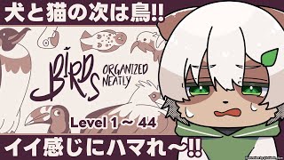 【Birds Organized Neatly】#1 鳥を詰め込む！なんかいい具合にハマれ～！と祈るパズル【#Vtuber】