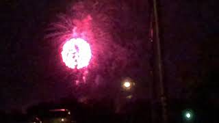 Cat Simulator Level 267 Cat Physics All Levels 200 Fireworks