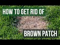 How to Get Rid of Brown Patch