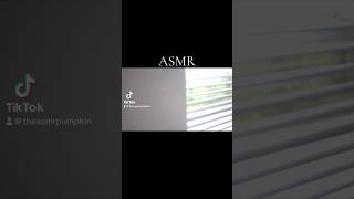 Lofi asmr triggers asmrpumpkin asmrtriggers asmr satisfying asmrvideos lofi lofiasmr tingly