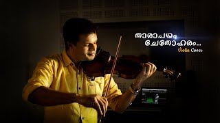 Tharapadham Violin Cover Ilayaraja Spb Ks Chithra