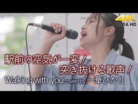 【 歌うま 】駅前の空気が一変！突き抜ける歌声！　Walking with you / Novelbright（ covered by 一華ひかり ）4K映像