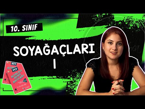 13) SOYAĞAÇLARI - KALITIM 6 | 10. SINIF | TYT BİYOLOJİ DERS NOTLARI | 2024