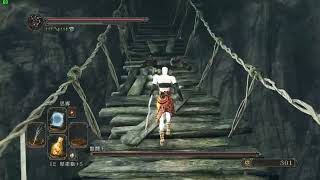 Dark Souls 2 chariot skip (low fps)