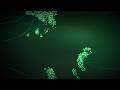 Nature Ambient & Forest Sounds for Study | Mycelium Mind — 2 Hours
