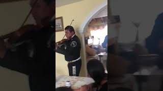 Mariachi