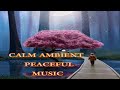 [RELAXING SOUND MUSIC] CALM AMBIENT - PEACEFUL - RELAXING - FOCUS