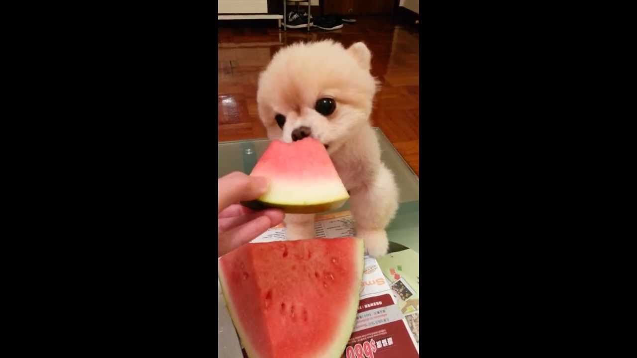 ✿P✿～ (*´ω｀)