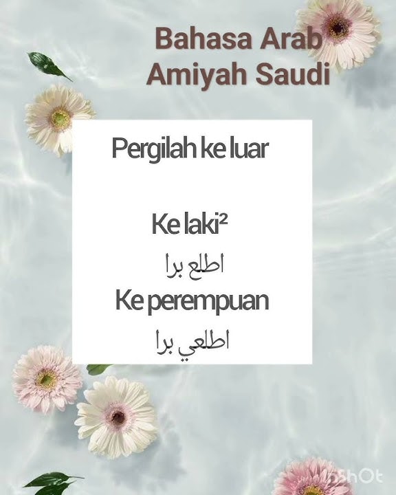 Kalimat sehari-hari di Amiyah Saudi (39) #amiyahsaudi #bahasaarabamiyah