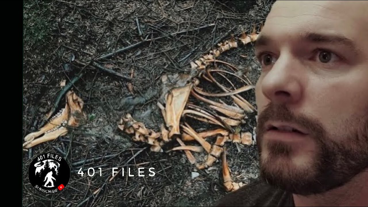 crazy-things-are-happening-big-cats-in-the-uk-or-something-else