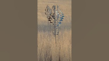 Star Dancer Horizontal Vertical Short Lyman Whitaker Wind Sculpture Design