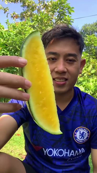 Berbagai jenis semangka yang ada di indonesia #shorts