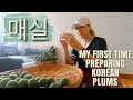 Making Plum Side Dish With My Korean Mother In-Law | 매실 담그기 도전 !! | (국제커플 AMWF)