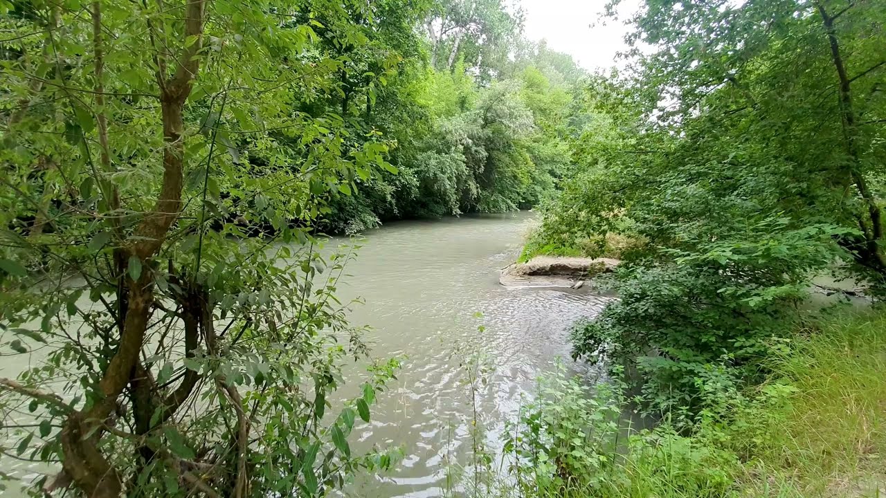 Nature Sounds on the bank of a Forest River - Relaxation, Meditation or Sleep