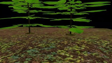 WAZJOHNDAB:prisma3d realistic texturing and animation.... Leafy texture