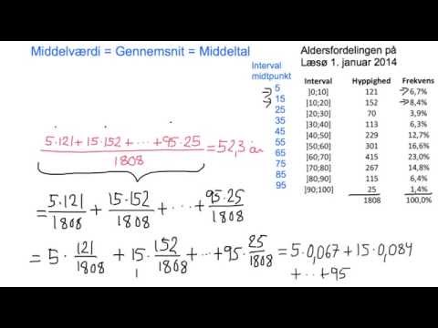 (2) Deskriptiv statistik