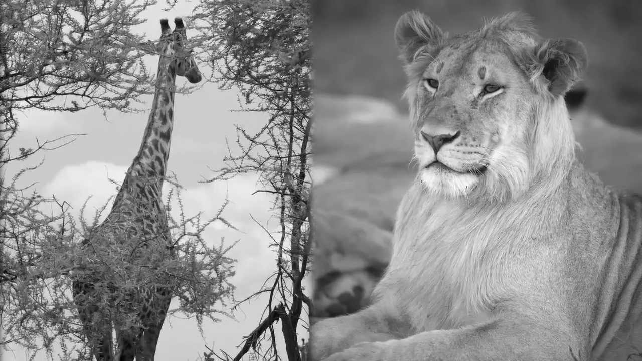 Insights Into Professional Photographer Michal Venera's Photography | Pottery Barn