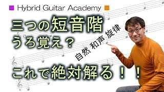 【クラシックギター 楽典 初心者】音階の仕組み