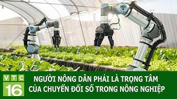 NGƯỜI NÔNG DÂN PHẢI LÀ TRỌNG TÂM CỦA CHUYỂN ĐỔI SỐ TRONG NÔNG NGHIỆP | VTC16